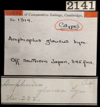 Media type: image;   Invertebrate Zoology OPH-1314 Aspect: labels